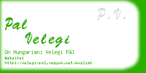 pal velegi business card