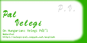 pal velegi business card